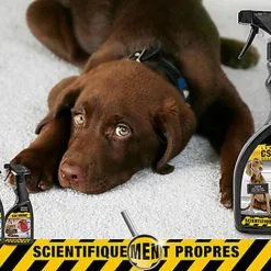 Animalerie Boutique 23 Animalerie Boutique -Animalerie Boutique 10987