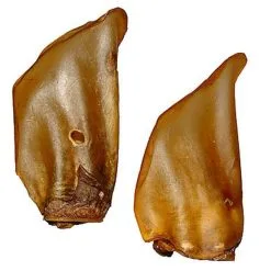 Anka Oreilles De Boeuf Fumées Pour Chien - X10