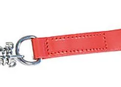 Martin Sellier - Laisse Amortisseur En Cuir Et Bord Arrondi Pour Chien - Rouge