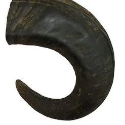 Bubimex - Corne De Buffle Pour Chiens - L