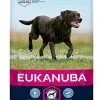 Eukanuba - Croquettes Mature 6+ Au Poulet Pour Chien Sénior De Grande Taille - 15Kg -Animalerie Boutique 26167