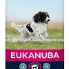 Eukanuba - Croquettes Au Poulet Pour Chien Adulte De Taille Moyenne - 15Kg -Animalerie Boutique 26171