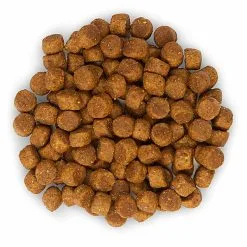 Hill's Science Plan - Croquettes Healthy Development Medium Puppy Poulet Pour Chiot - 12Kg -Animalerie Boutique 27881