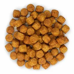 Hill's Science Plan - Croquettes Healthy Mobility Medium Adult Poulet Pour Chien - 12Kg -Animalerie Boutique 27928