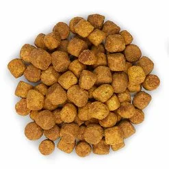 Hill's Science Plan - Croquettes Active Longevity Medium Mature 7+ Poulet Pour Chien - 12Kg -Animalerie Boutique 27949