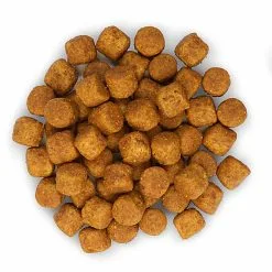 Hill's Science Plan - Croquettes Advanced Fitness Large Adult Poulet Pour Chien - 18Kg -Animalerie Boutique 28004