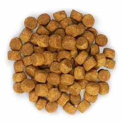 Hill's Science Plan - Croquettes Large Breed Au Poulet Pour Chiot - 16Kg 14 Hill's Science Plan - Croquettes Large Breed Au Poulet Pour Chiot - 16Kg -Animalerie Boutique 28023