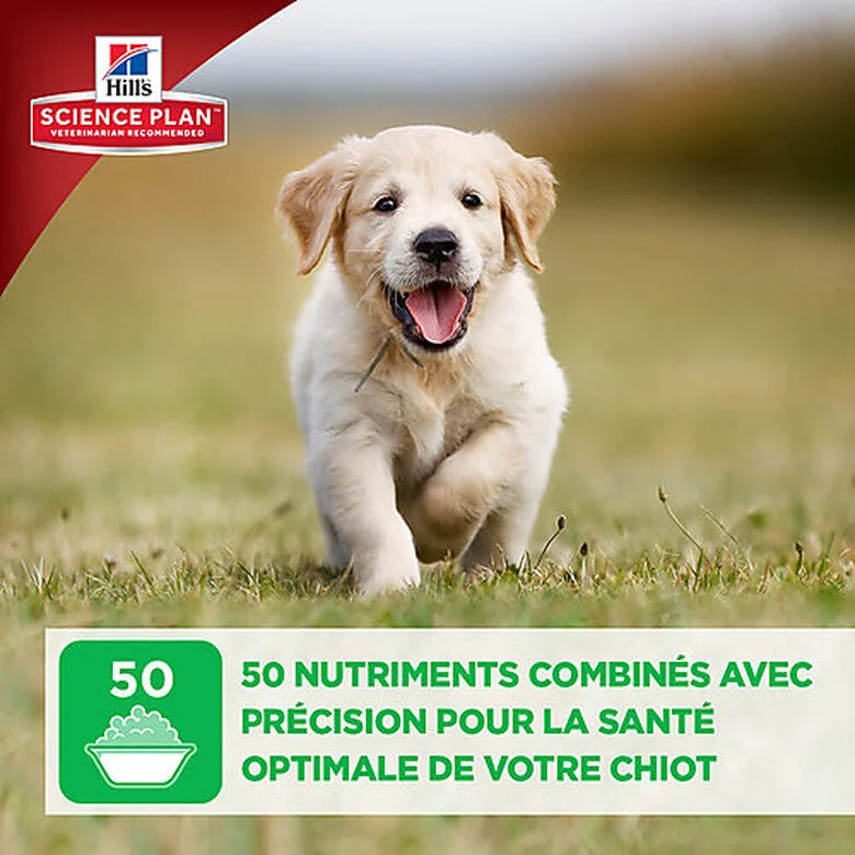 Hill's Science Plan - Croquettes Large Breed Au Poulet Pour Chiot - 16Kg 8 Hill's Science Plan - Croquettes Large Breed Au Poulet Pour Chiot - 16Kg – Image 6