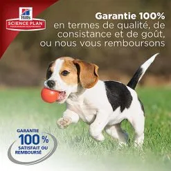 Hill's Science Plan - Croquettes Large Breed Au Poulet Pour Chiot - 16Kg 21 Hill's Science Plan - Croquettes Large Breed Au Poulet Pour Chiot - 16Kg -Animalerie Boutique 28030