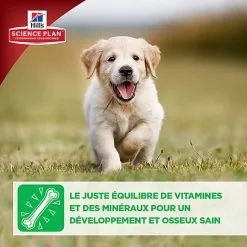 Hill's Science Plan - Croquettes Large Breed Au Poulet Pour Chiot - 16Kg 20 Hill's Science Plan - Croquettes Large Breed Au Poulet Pour Chiot - 16Kg -Animalerie Boutique 28031