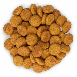 Hill's Science Plan - Croquettes Perfect Weight Large Adult Poulet Pour Chien - 12Kg -Animalerie Boutique 28076