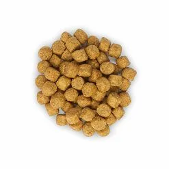 Hill's Science Plan - Croquettes Light Au Poulet Pour Chien Sénior De Petite Race - 2,5Kg -Animalerie Boutique 28539