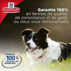 Hill's Science Plan - Croquettes à L'Agneau Et Riz Pour Chien - 12Kg -Animalerie Boutique 28557