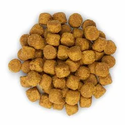 Hill's Science Plan - Croquettes à L'Agneau Et Riz Pour Chien - 12Kg -Animalerie Boutique 28559