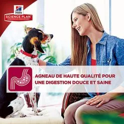 Hill's Science Plan - Croquettes à L'Agneau Et Riz Pour Chien De Grande Race - 12Kg -Animalerie Boutique 28562