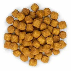 Hill's Science Plan - Croquettes à L'Agneau Et Riz Pour Chien De Grande Race - 12Kg -Animalerie Boutique 28564