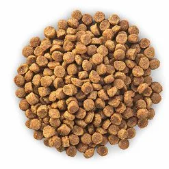 Hill's Science Plan - Croquettes Au Poulet Et Dinde Pour Chien Sénior De Petite Race -Animalerie Boutique 28573