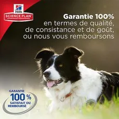 Hill's Science Plan - Croquettes Au Poulet Et Dinde Pour Chien Sénior De Petite Race -Animalerie Boutique 28577