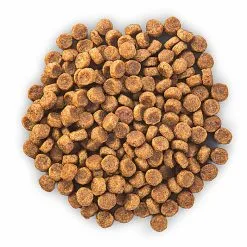 Hill's Science Plan - Croquettes Au Poulet Et Dinde Pour Chien De Petite Race -Animalerie Boutique 28592