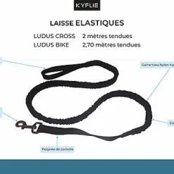 Kyflie - Laisse élastique Anti-chocs LUDUS CROSS Noir Pour Chien - 2m -Animalerie Boutique 37865