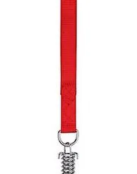 Animalis - Laisse Amortisseur Confort De 25mm Et 50cm Pour Chien - Rouge