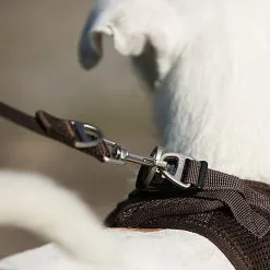 Curli - Laisse Basic En Noir Pour Chiens - L 8 Curli - Laisse Basic En Noir Pour Chiens - L -Animalerie Boutique 40002