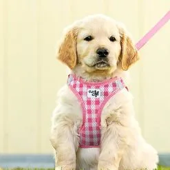Curli - Harnais Veste Air-Mesh + Laisse En Rose Pour Chiot -Animalerie Boutique 40442