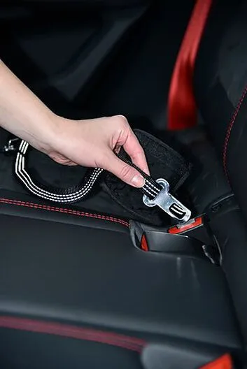 Bobby - Laisse Avec Attache Sécurité Voiture Fuchsia Pour Chien 6 Bobby - Laisse Avec Attache Sécurité Voiture Fuchsia Pour Chien – Image 4