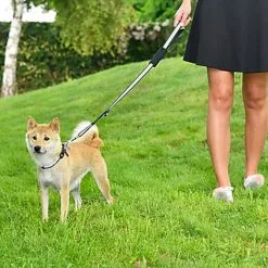 Bobby - Laisse Avec Attache Sécurité Voiture Rouge Pour Chien -Animalerie Boutique 40683 1