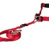 Trixie - Ceinture Ventrale Avec Laisse Pour Chien - Rouge -Animalerie Boutique 4069