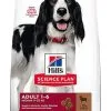Hill's Science Plan - Croquettes à L'Agneau Et Riz Pour Chien - 12Kg -Animalerie Boutique 41191
