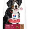 Hill's Science Plan - Croquettes à L'Agneau Et Riz Pour Chien De Grande Race - 12Kg -Animalerie Boutique 41193