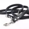 Yogipet - Laisse Ajustable 1,6/220cm Pour Chien - Noir 1 Yogipet - Laisse Ajustable 1,6/220cm Pour Chien - Noir -Animalerie Boutique 41936 1