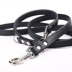 Yogipet - Laisse Ajustable 1,6/220cm Pour Chien - Noir