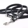 Yogipet - Laisse Ajustable 2/220cm Pour Chien - Noir -Animalerie Boutique 41936