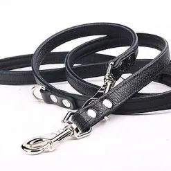Yogipet - Laisse Ajustable 2/220cm Pour Chien - Noir