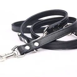 Yogipet - Laisse Ajustable 1,6/220cm Pour Chien - Noir -Animalerie Boutique 41937 1