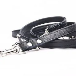 Yogipet - Laisse Ajustable 1,6/220cm Pour Chien - Noir -Animalerie Boutique 41938 1