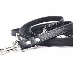 Yogipet - Laisse Ajustable 2/220cm Pour Chien - Noir -Animalerie Boutique 41938