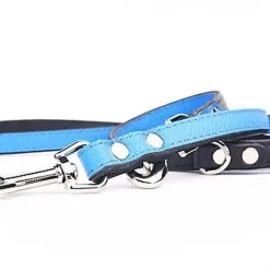 Yogipet - Laisse Ajustable 2/220cm Pour Chien - Bleu -Animalerie Boutique 41941 1