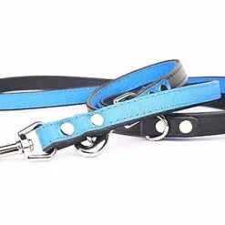 Yogipet - Laisse Ajustable 2/220cm Pour Chien - Bleu -Animalerie Boutique 41942 1