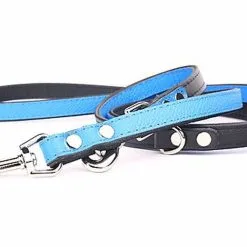 Yogipet - Laisse Ajustable 1,6/220cm Pour Chien - Bleu -Animalerie Boutique 41942