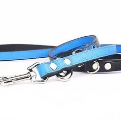 Yogipet - Laisse Ajustable 2/220cm Pour Chien - Bleu