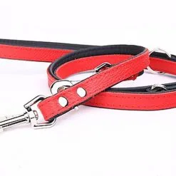 Yogipet - Laisse Ajustable 1,6/220cm Pour Chien - Rouge -Animalerie Boutique 41947