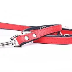 Yogipet - Laisse Ajustable 1,6/220cm Pour Chien - Rouge -Animalerie Boutique 41948