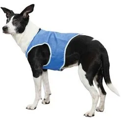 Trixie - Veste Rafraîchissante XL Pour Chien - 40 Cm
