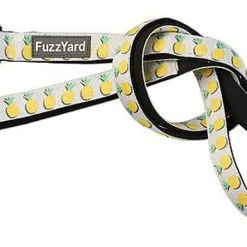 FuzzYard - Laisse Piña Colada Pour Chien - S