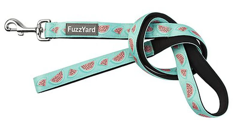FuzzYard - Laisse Summer Punch Pour Chien - S 3 FuzzYard - Laisse Summer Punch Pour Chien - S