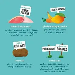 Edgard & Cooper - Croquettes Naturelles Sans Céréales Canard Et Poulet Frais Pour Chiot - 12Kg 14 Edgard & Cooper - Croquettes Naturelles Sans Céréales Canard Et Poulet Frais Pour Chiot - 12Kg -Animalerie Boutique 46550