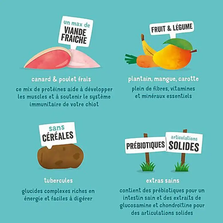 Edgard & Cooper - Croquettes Naturelles Sans Céréales Canard Et Poulet Frais Pour Chiot - 12Kg 7 Edgard & Cooper - Croquettes Naturelles Sans Céréales Canard Et Poulet Frais Pour Chiot - 12Kg – Image 5